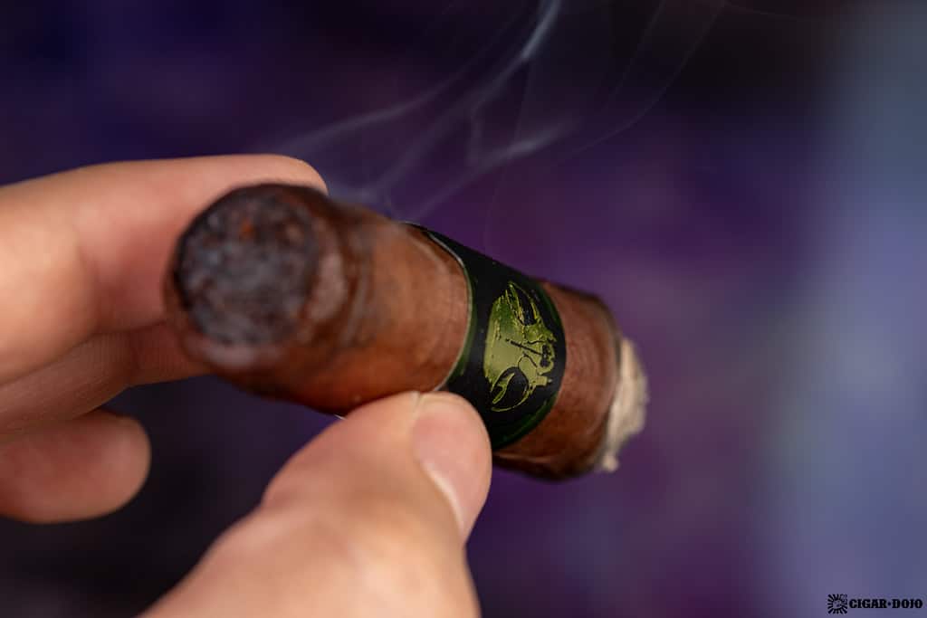 Emilio Cigars Grimalkin Toro (2018) cigar smoking