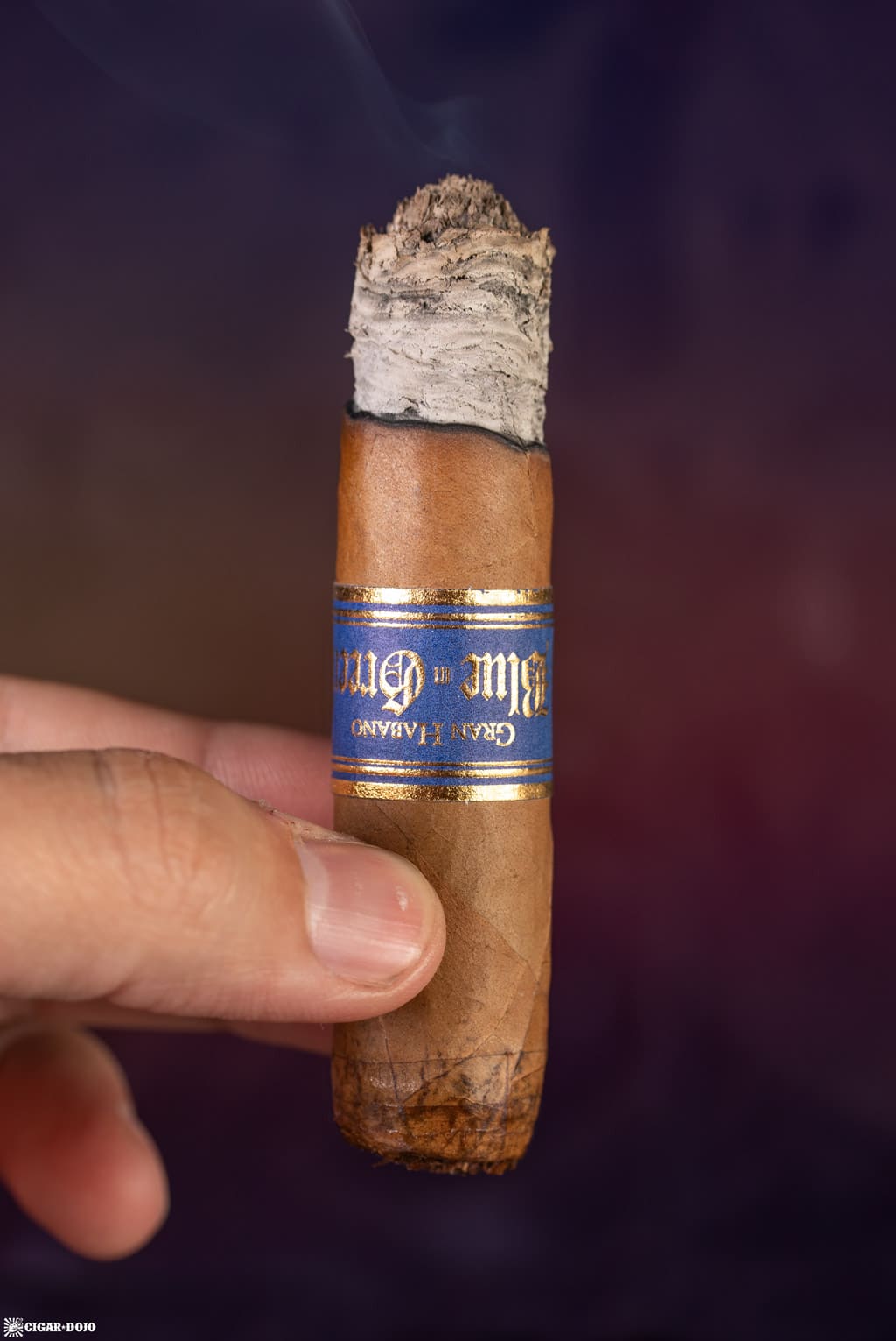 Gran Habano Blue in Green Gran Robusto cigar ash