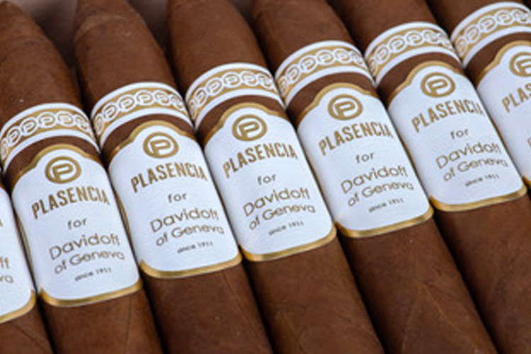 Plasencia Cigars for Davidoff of Geneva Since 1911