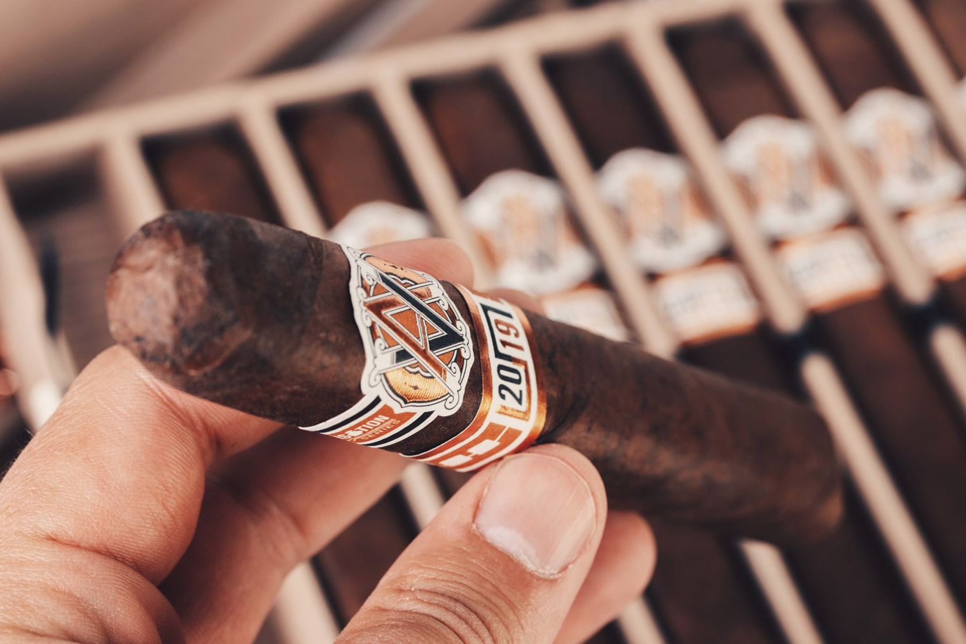 AVO Improvisation Series LE19 cigar review