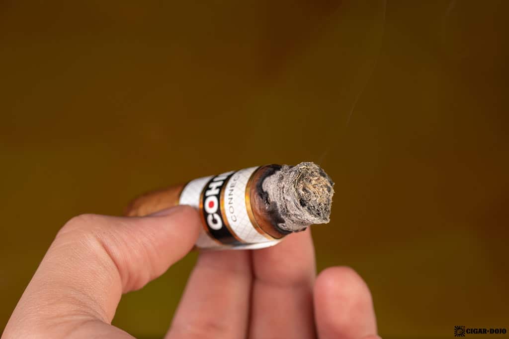 Cohiba Connecticut Robusto cigar ash