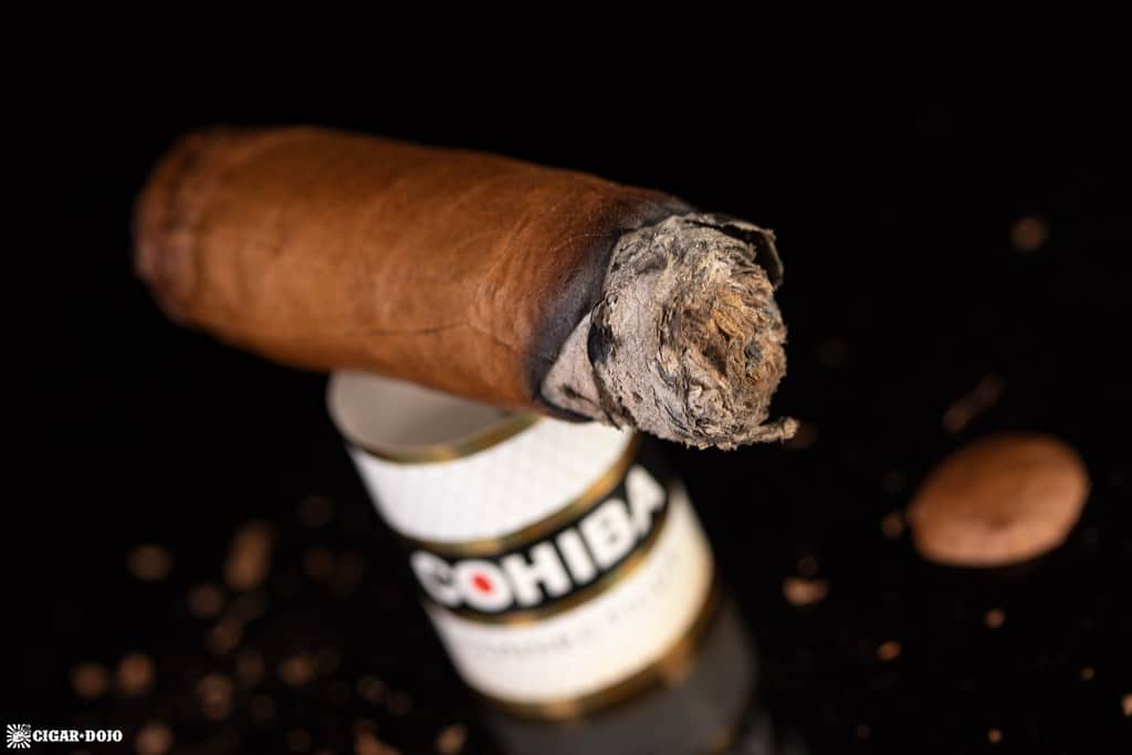 Cohiba Connecticut Robusto cigar nub finished
