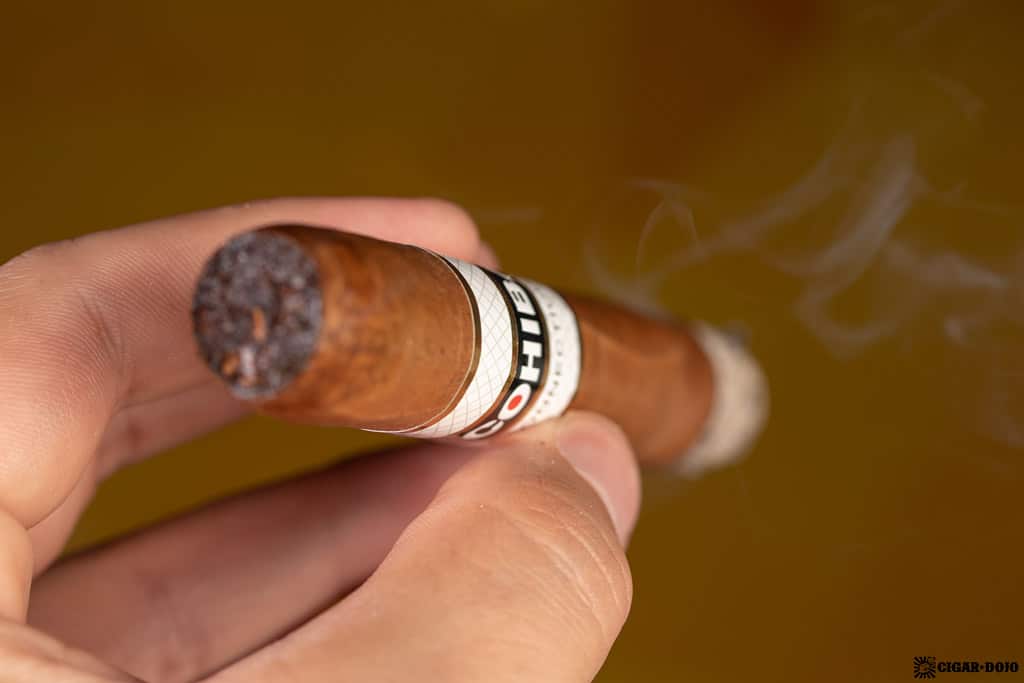 Cohiba Connecticut Robusto cigar smoking