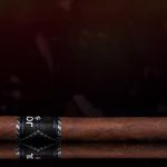 Joya Black Nocturno cigar side view