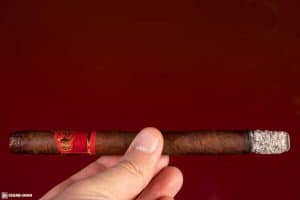 Punch Chop Suey cigar smoking