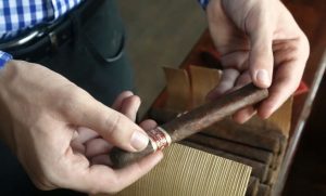 Inspecting J.C. Newman Yagua cigar