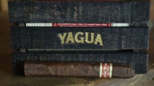 J.C. Newman Yagua cigar and box
