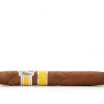 AVO Regional North Edition cigar side view