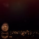 HVC First Selection Broadleaf Toro cigar head cut cap