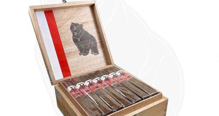 Powstanie Box Press War Bear