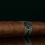 Warped Companion Rothschild cigar band