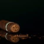 Warped Companion Rothschild cigar head cut cap