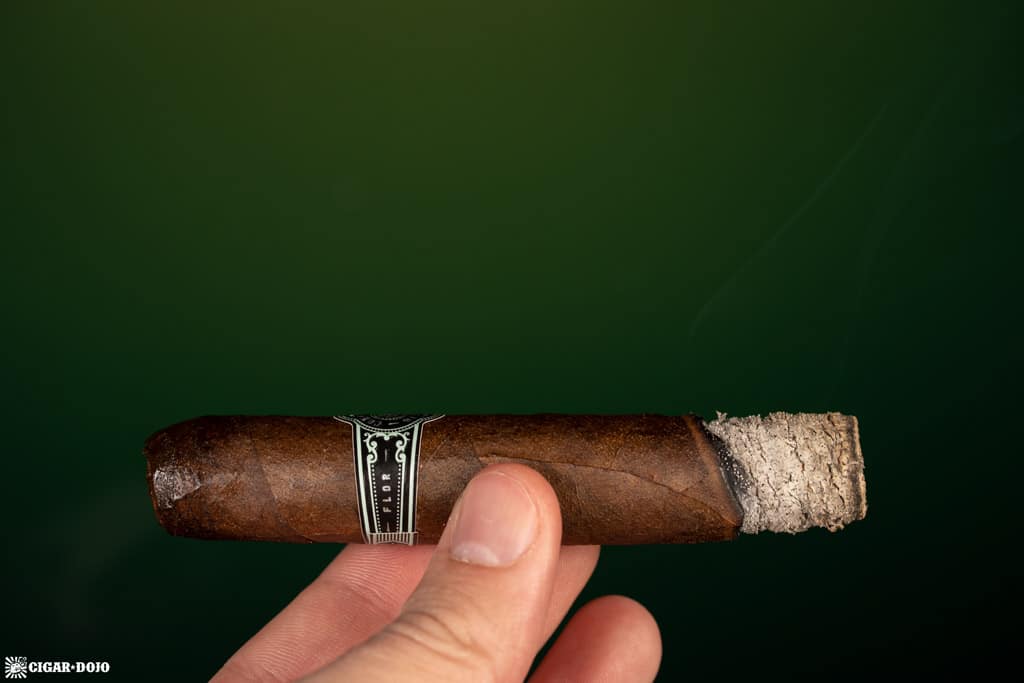 Warped Companion Rothschild cigar smoking