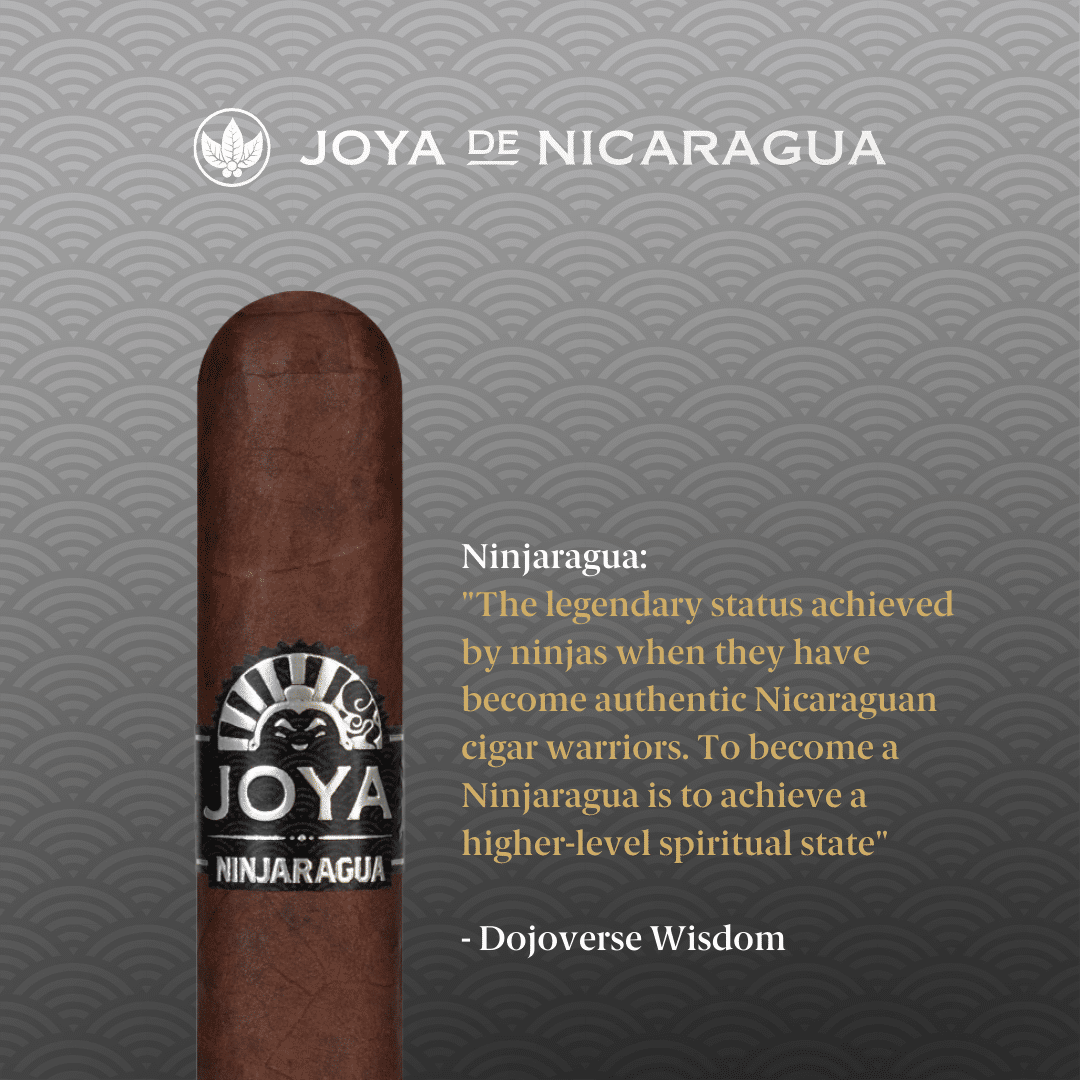 Joya Ninjaragua 2022 announcement