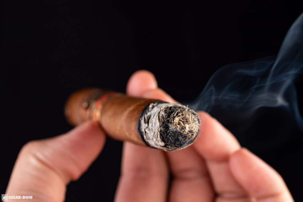 JRE Aladino Classic Toro cigar smoking