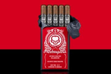 Asylum Meshugana official graphic