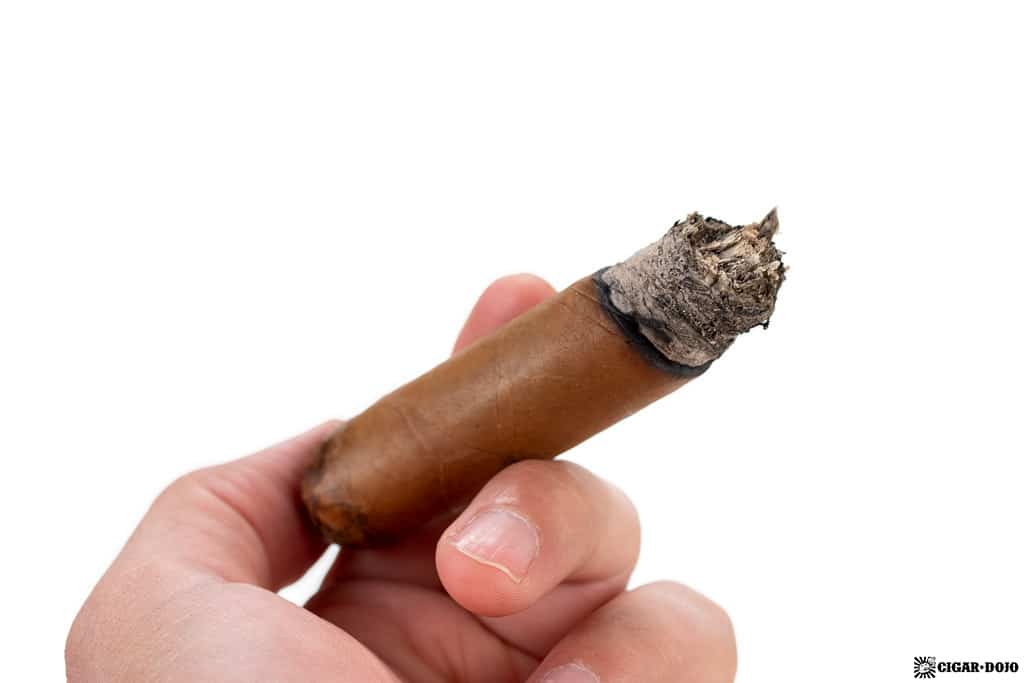 German Engineered Cigars Raumzeit Robusto review