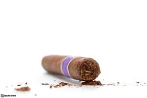 Matilde Limited Exposure No. 2 cigar head cut cap