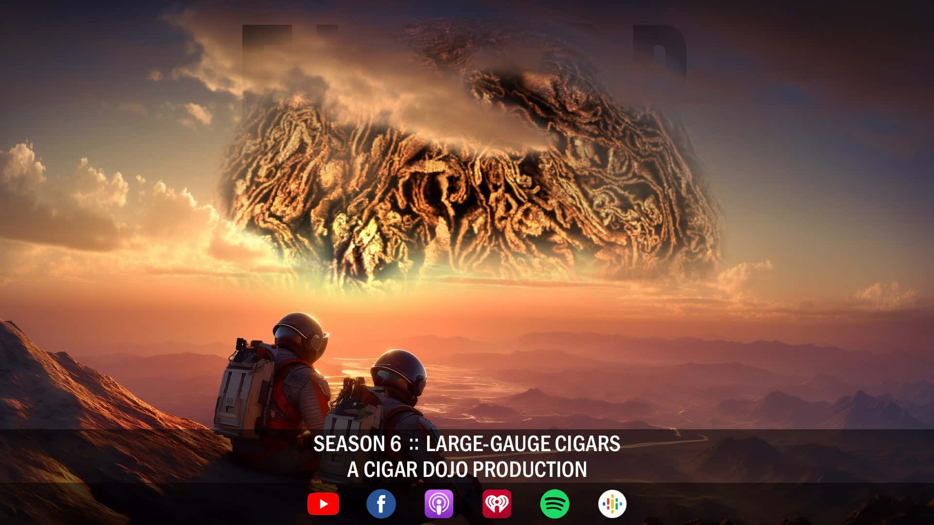 Large Ring Gauge Cigars