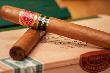 Flor de D’Crossier Seleccion Escogida * LUMINA*