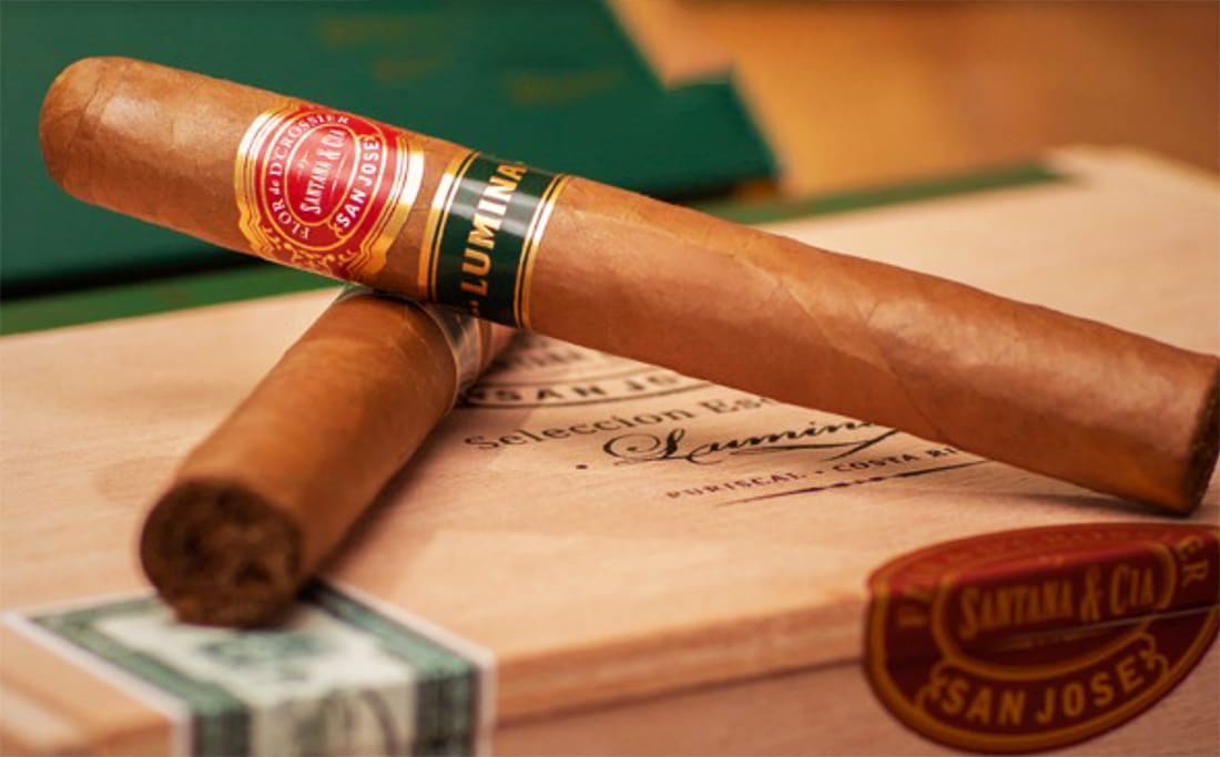 Flor de D’Crossier Seleccion Escogida * LUMINA*