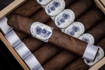 Luciano Maria Lucia cigars open box
