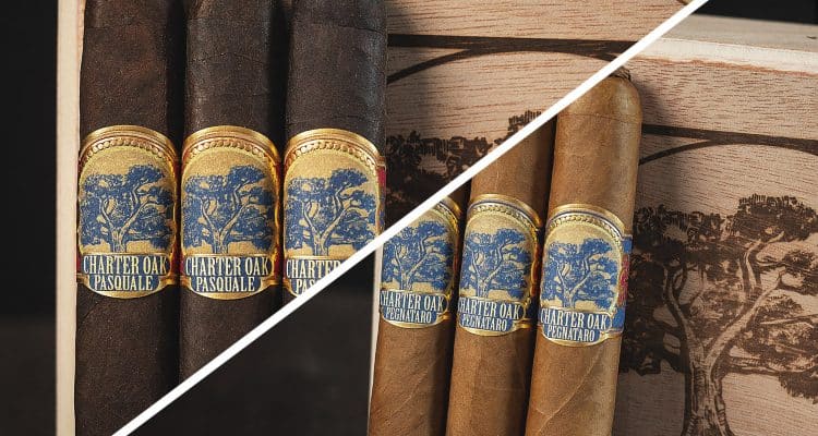 Foundation Cigar Co. Charter Oak CT Pegnataro & Pasquale cigars