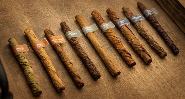 J.C. Newman Cigar tobacco tasting class