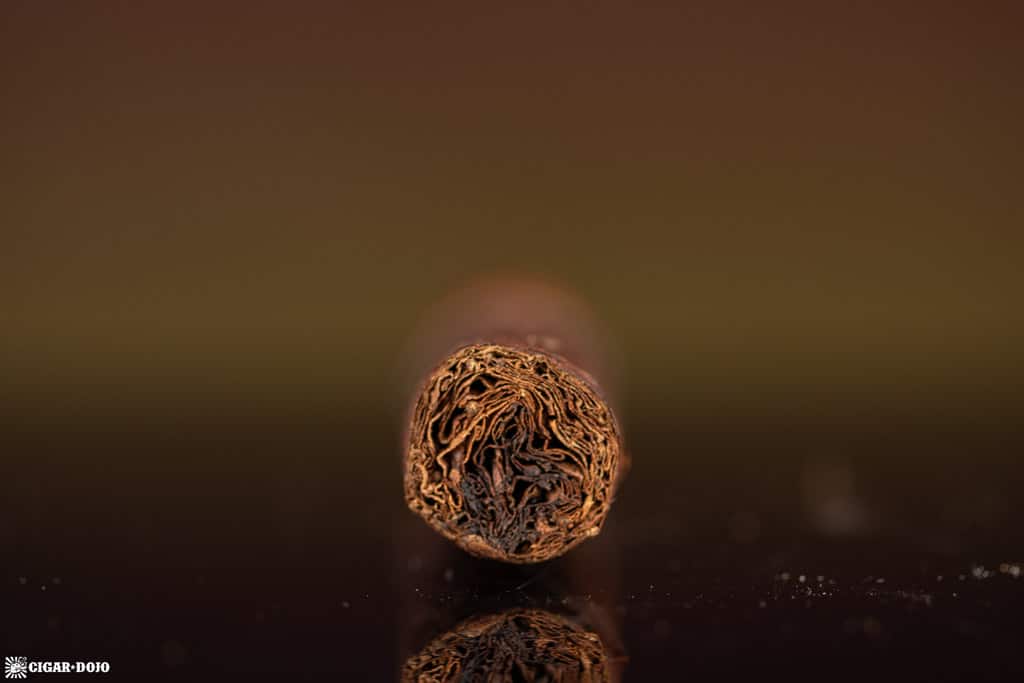 Asylum 867 Auntie Petite Corona cigar foot