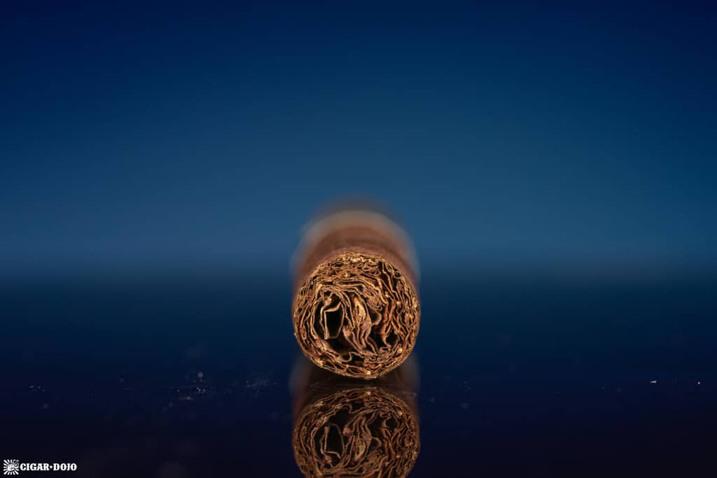 Ferio Tego Summa Corona Gorda cigar foot