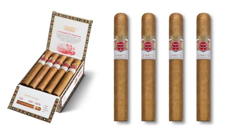 Hoyo De Monterrey Shade Toro | Free Shipping Over $99
