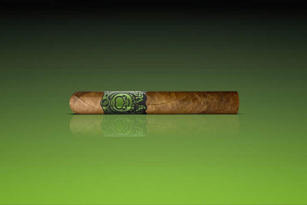Asylum x Cigar Dojo Oy Vey cigar single