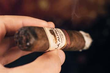 La Aurora Family Creed Fuerte Sol Toro cigar review