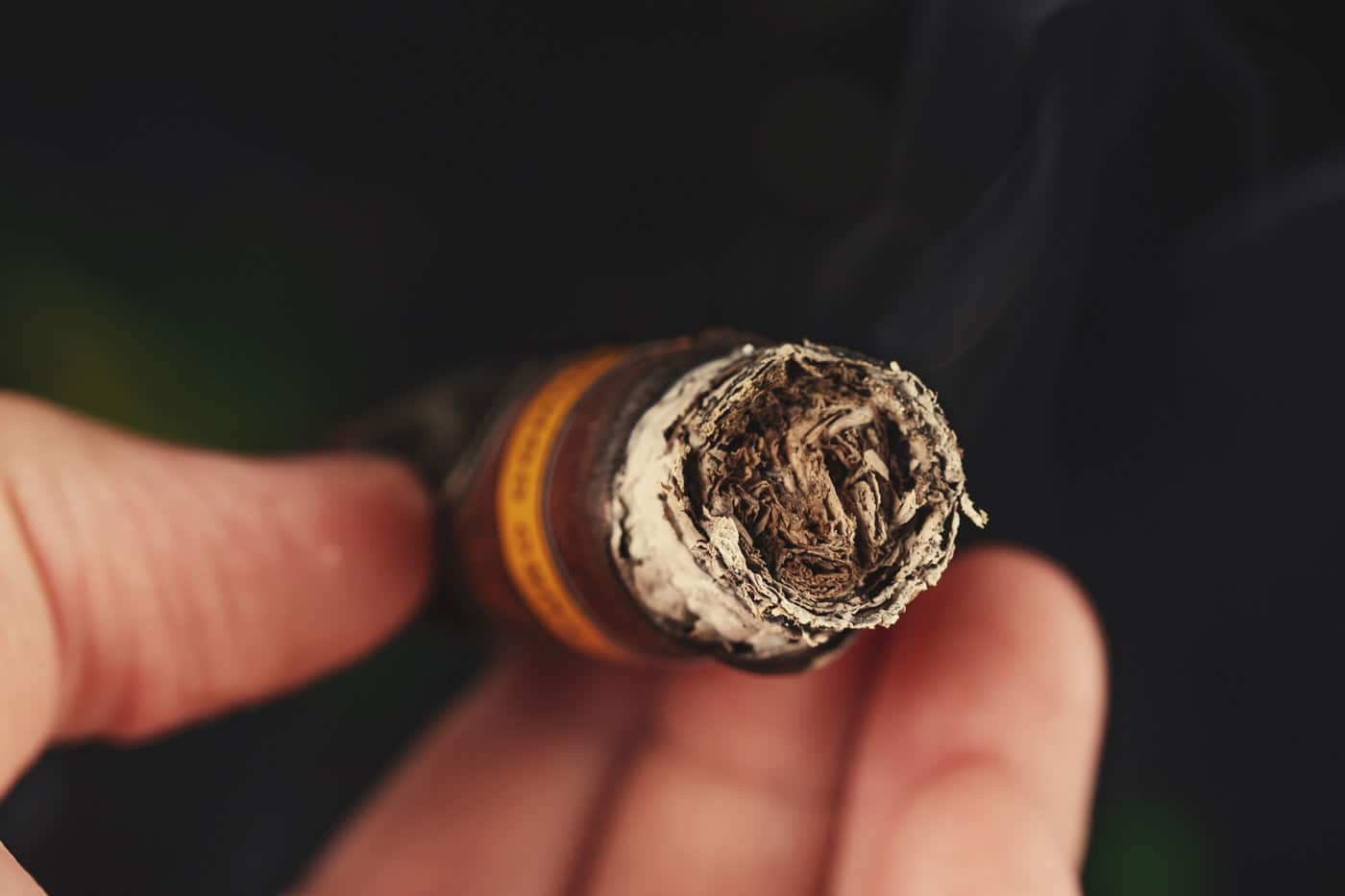 Davidoff Puro Dominicano Perfecto cigar review