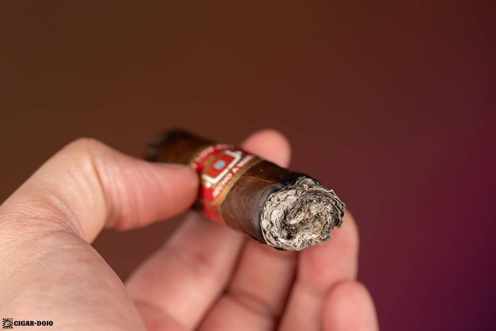 Saint Luis Rey Eiroa 30th Anniversary Toro cigar ash