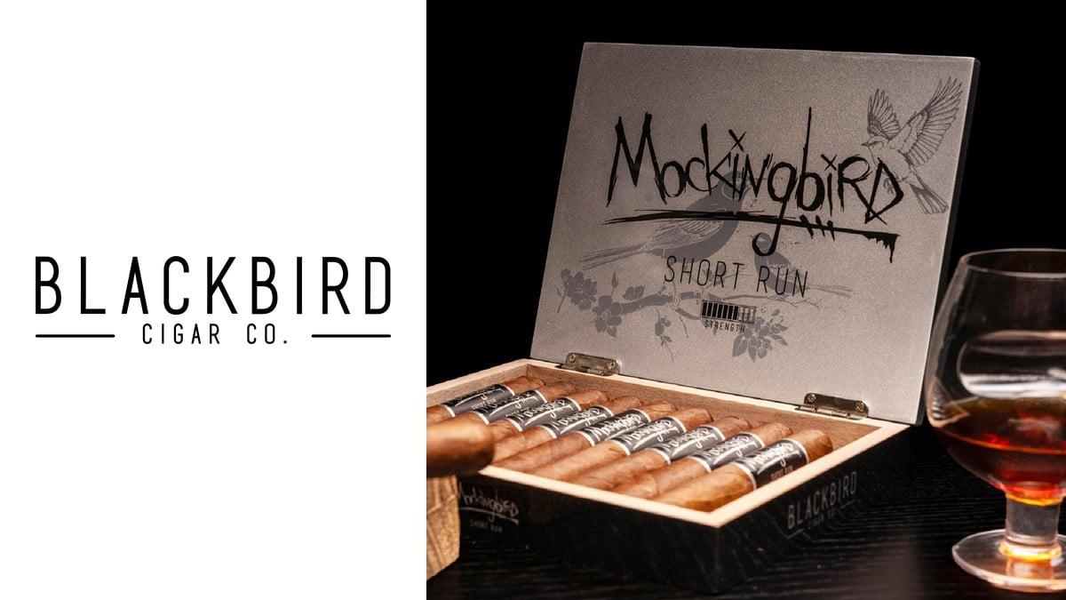 Blackbird Cigar Co. logo beside an open box of Mockingbird Short Run cigars